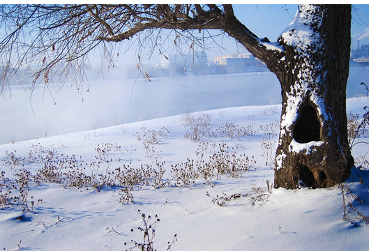 尊龙抖圈 - 为du而生